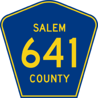 salem county lead testing