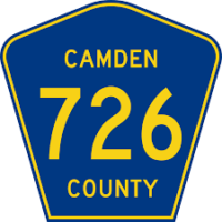 camden county lead testing